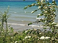Western Michigan [2010] 571